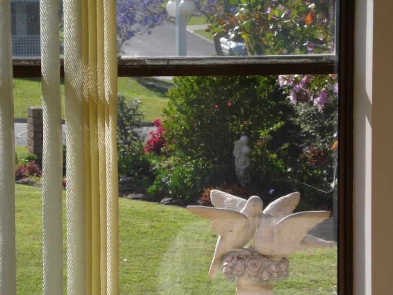 10 Bowden Road, Port Macquarie NSW 2444