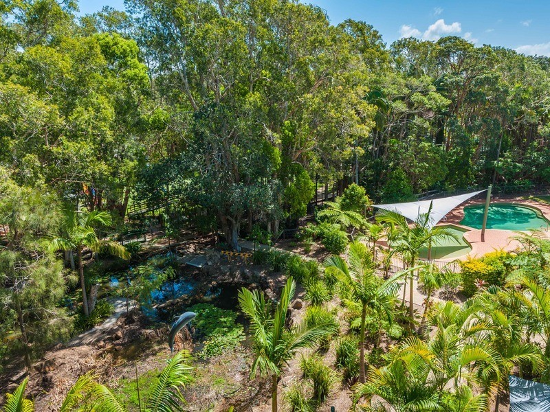 235/68 Pacific Drive, Port Macquarie NSW 2444
