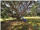 571 Fernbank Creek Road, Port Macquarie NSW 2444