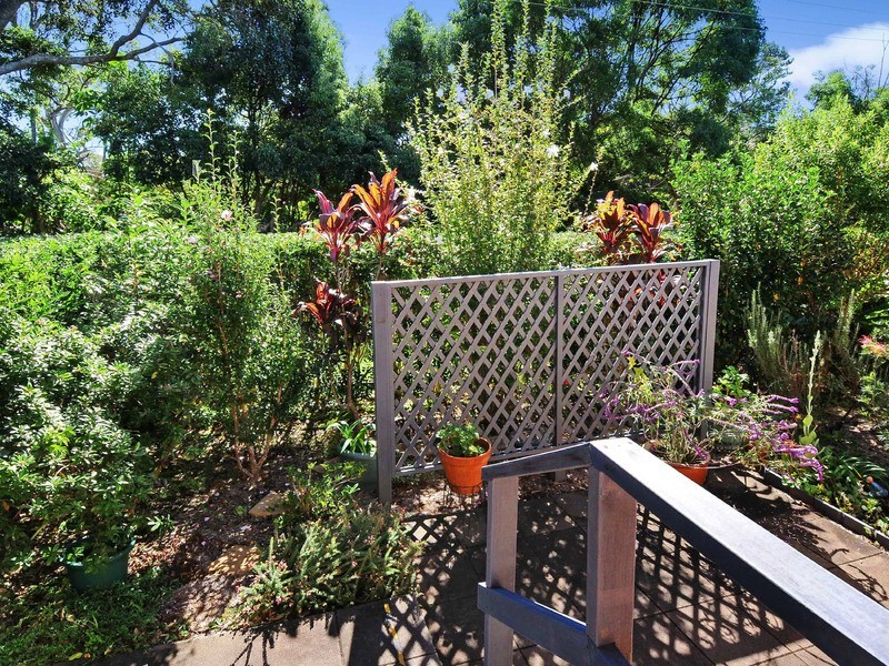 1/3 Sequoia Place, Port Macquarie NSW 2444