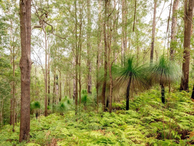 841 Red Hill Road, Telegraph Point NSW 2441