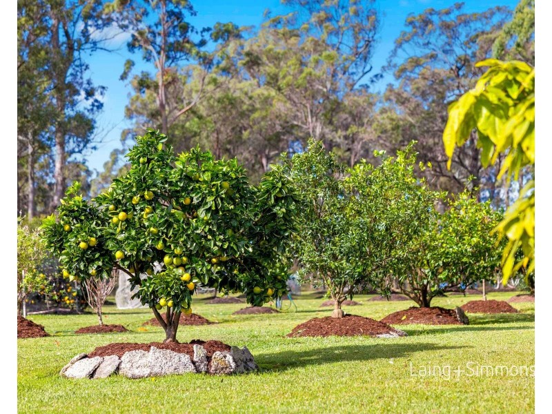 39 Manuka Parkway, King Creek NSW 2446