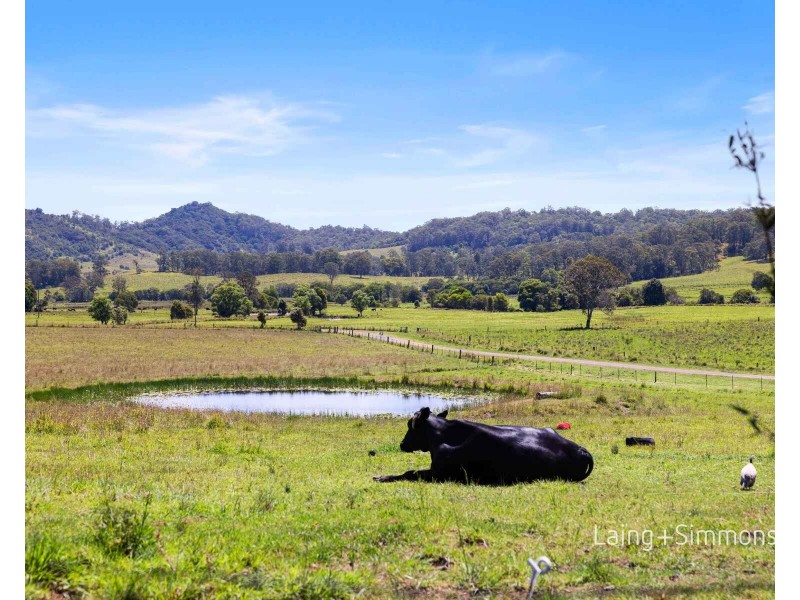 492 Gum Scrub Road, Gum Scrub NSW 2441