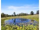 492 Gum Scrub Road, Gum Scrub NSW 2441