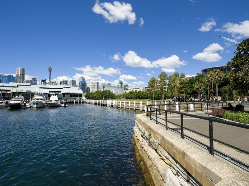 202/2  Jones Bay Road, Pyrmont NSW 2009