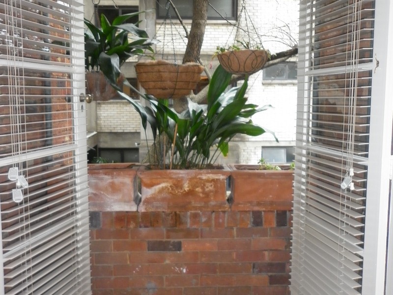 3/22  Greenoaks Avenue, Double Bay NSW 2028