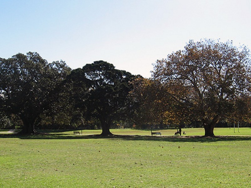 10/129 Bayswater Road, Rushcutters Bay NSW 2011