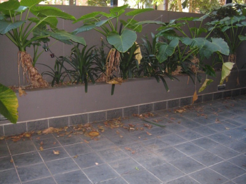 E202/26 Point Street, Pyrmont NSW 2009