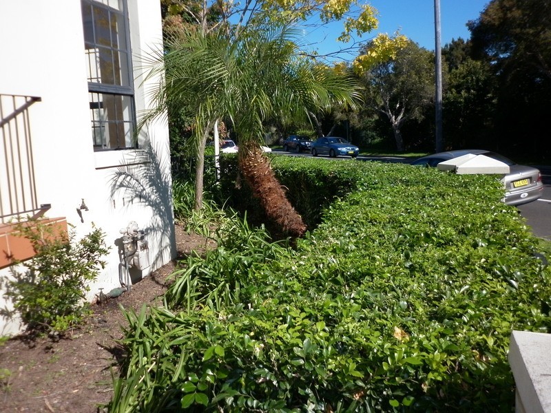 3/1 Flat Street, Leichhardt NSW 2040