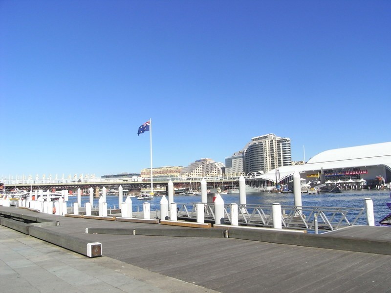 503/45 Shelley Street, Sydney NSW 2000