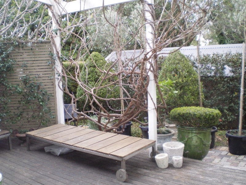 90 View Street, Annandale NSW 2038