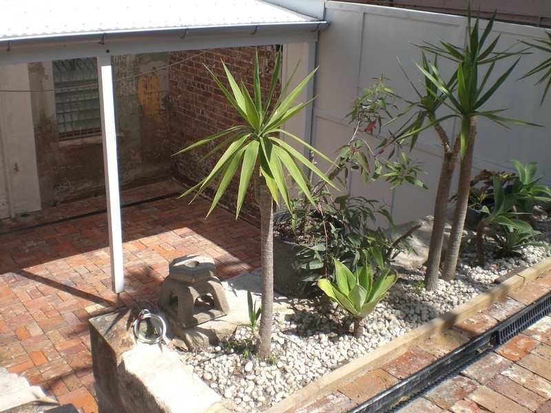 242 Dowling Street, Woolloomooloo NSW 2011