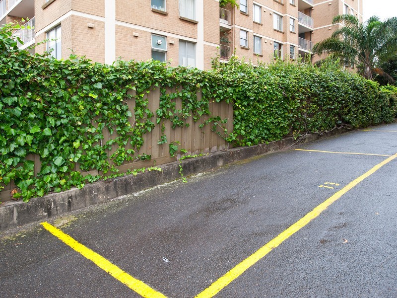 73/53-55 Cook Road, Centennial Park NSW 2021