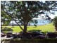 31/5-7 The Esplanade, Elizabeth Bay NSW 2011