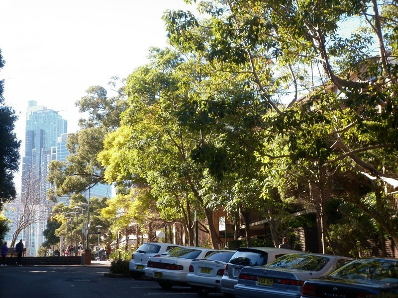25/61-65 Macarthur St, Ultimo NSW 2007