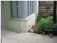 227 Bulwara Road, Ultimo NSW 2007