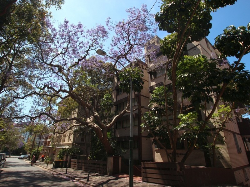 8/14-16 Onslow Ave, Elizabeth Bay NSW 2011