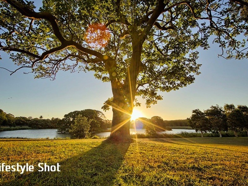 74/49-51 Cook Road, Centennial Park NSW 2021