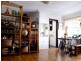 37/66 Bayswater Road, Rushcutters Bay NSW 2011
