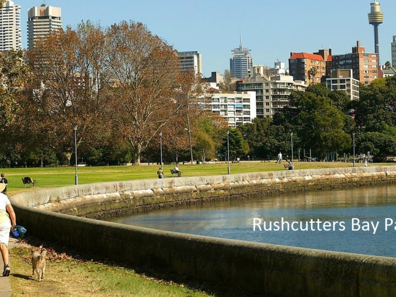 20/66 Bayswater Road, Rushcutters Bay NSW 2011
