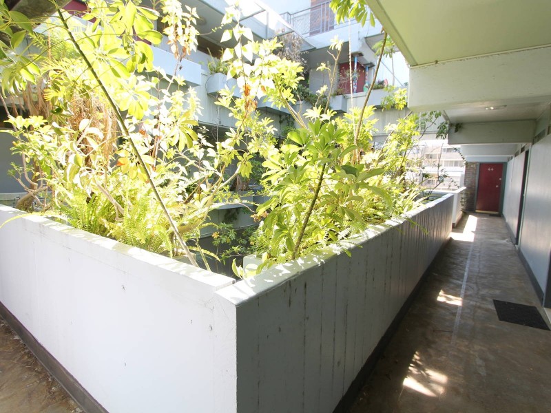 49/68 Roslyn Gardens, Elizabeth Bay NSW 2011