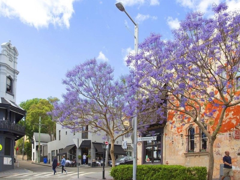 44/13 Campbell Ave, Paddington NSW 2021