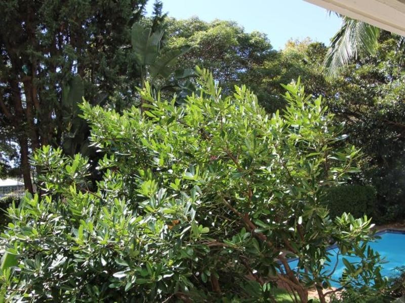 9/50 Roslyn Gardens, Elizabeth Bay NSW 2011