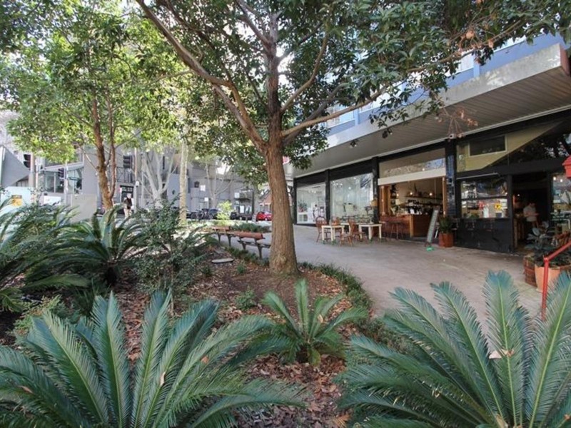 33/61 Bayswater Road, Rushcutters Bay NSW 2011