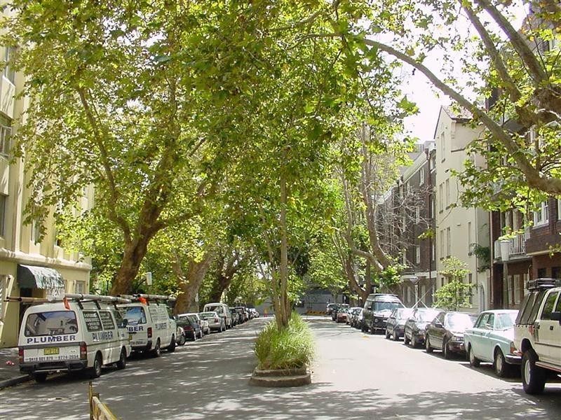 3/12 Tusculum St, Potts Point NSW 2011