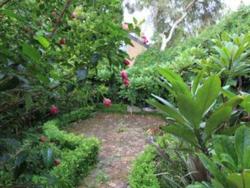 335 Annandale Street, Annandale NSW 2038