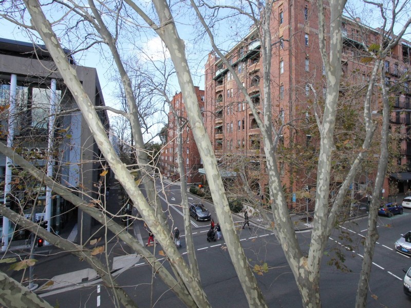 15/91 Macleay Street, Potts Point NSW 2011