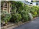 28 McElhone Place, Surry Hills NSW 2010