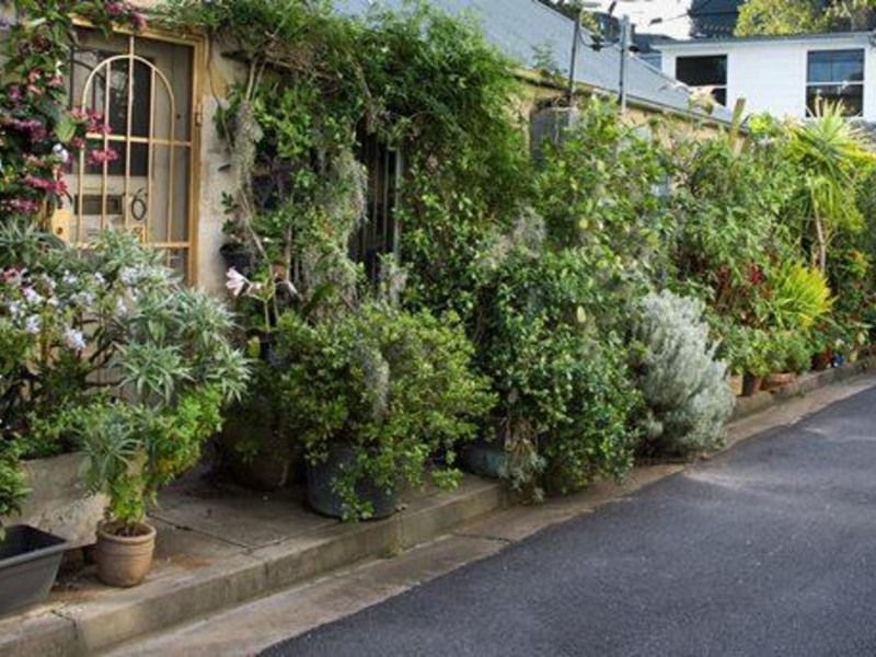 28 McElhone Place, Surry Hills NSW 2010
