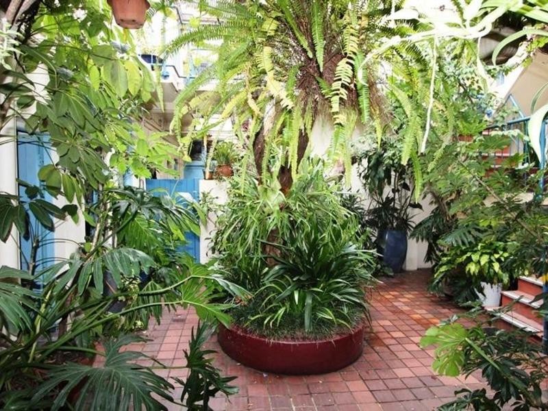 11/253 Palmer Street, Darlinghurst NSW 2010