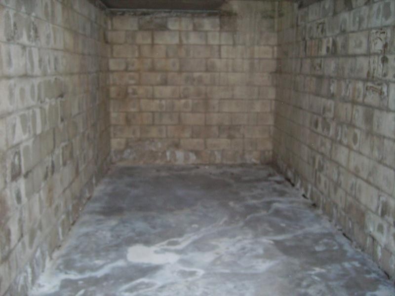 C S 8/3 St Neot Avenue, Potts Point NSW 2011