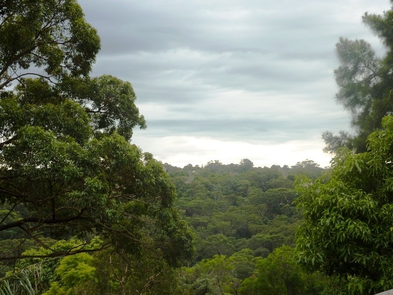 155 Fullers Road, Chatswood NSW 2067