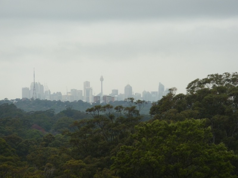 904/5 Pymble Avenue, Pymble NSW 2073