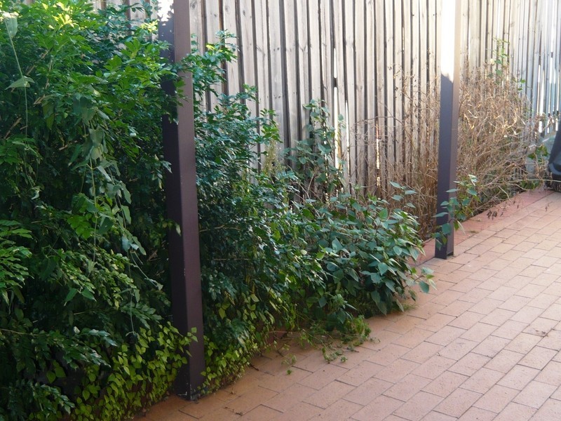 53/68 Macarthur Street, Parramatta NSW 2150