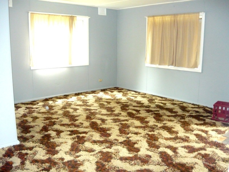 2 Ivy Street, Toongabbie NSW 2146