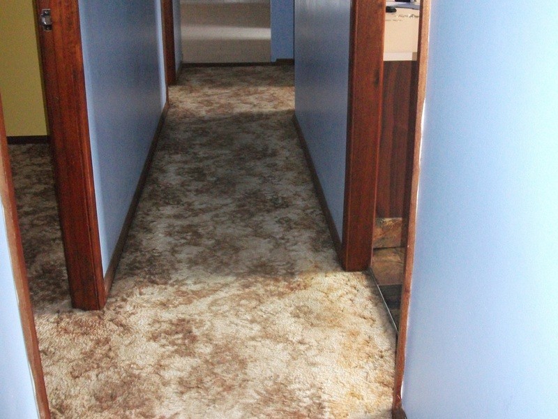 30 Emert Street, Wentworthville NSW 2145