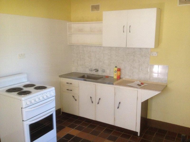 20A Junia Avenue, Toongabbie NSW 2146