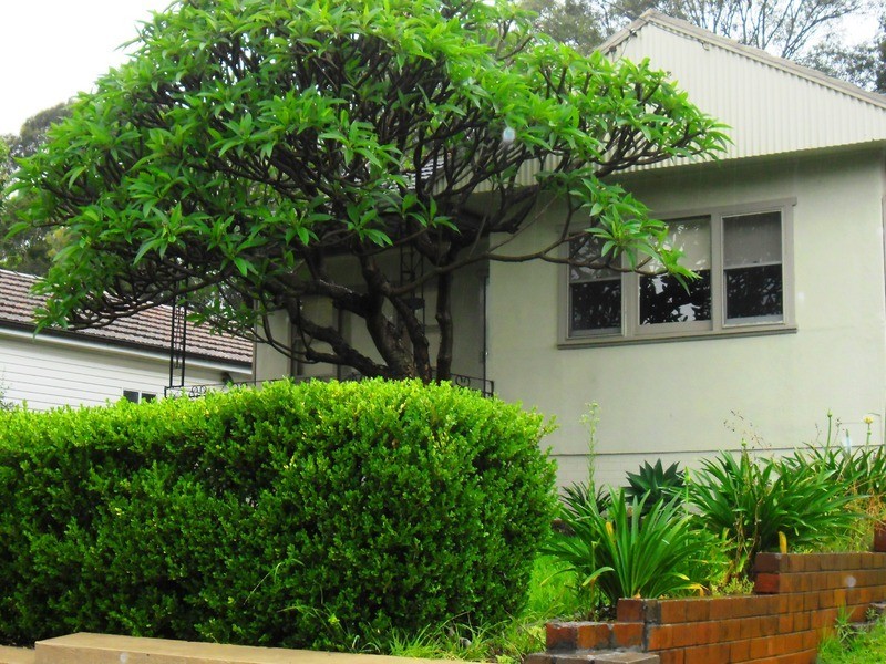 42 Stapleton street, Wentworthville NSW 2145