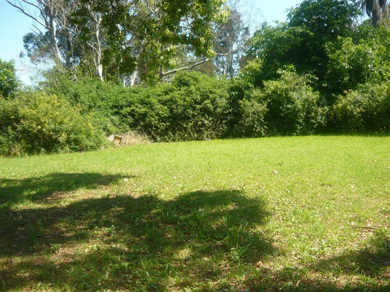 257 Briens Road, Northmead NSW 2152