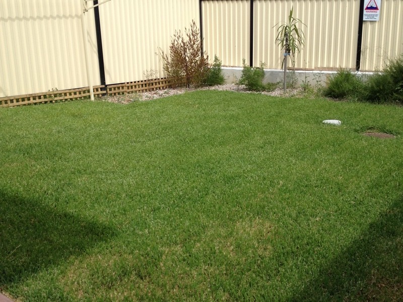 38a Carinya Road, Girraween NSW 2145