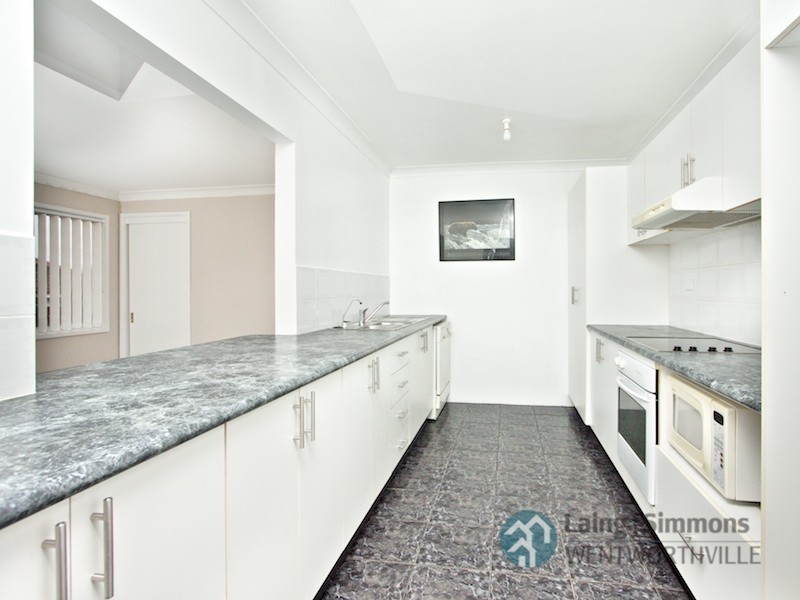 19 Ferndale Close, Constitution Hill NSW 2145