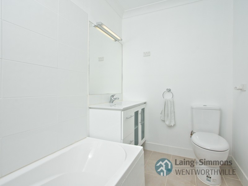 19 Ferndale Close, Constitution Hill NSW 2145