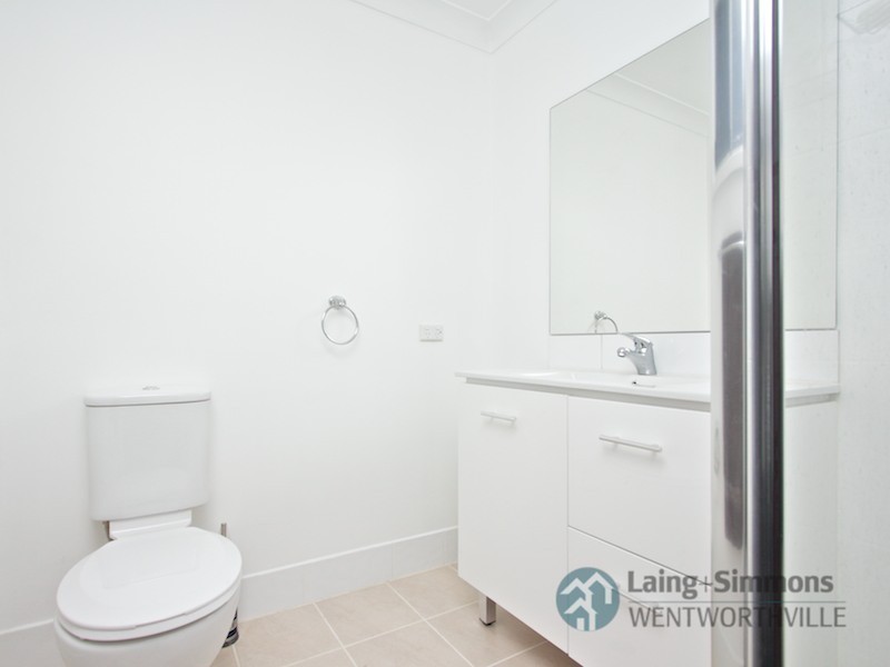 19 Ferndale Close, Constitution Hill NSW 2145