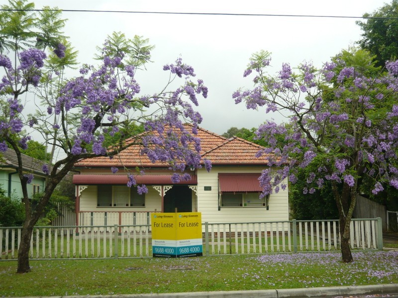 29 Mayfield Street, Wentworthville NSW 2145