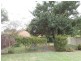 61 Jones Street, Wentworthville NSW 2145