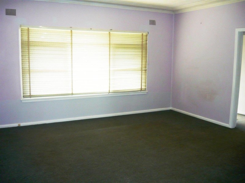 28a Budgeree Road, Toongabbie NSW 2146